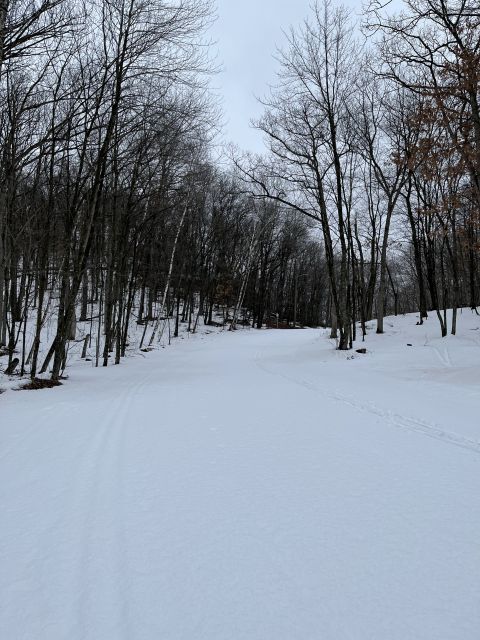 Photo Album - Trail Report: Tower Ridge Ski Area