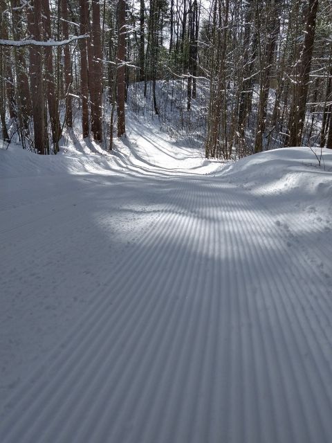 Photo Album - Trail Report: Razorback Ridges Trail