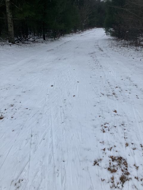 Photo Album - Trail Report: Tower Ridge Ski Area