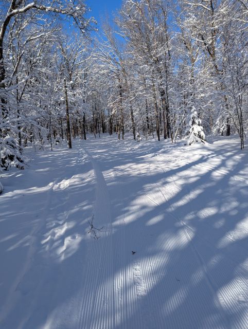 Photo Album - Trail Report: Tower Ridge Ski Area