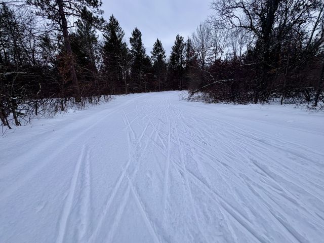 Photo Album - Trail Report: Tower Ridge Ski Area